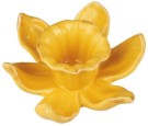 Stake t/2,2 cm lys Daffodils gul thumbnail