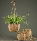 Ampel Bambu Plastliner MEDIUM thumbnail
