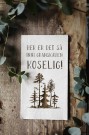 Her er det så inni granskauen koselig! thumbnail