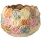 Potte Daisy  thumbnail