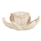Stake t/2,2 cm lys Daffodils butter cream thumbnail