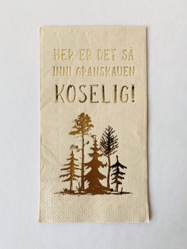Her er det så inni granskauen koselig!
